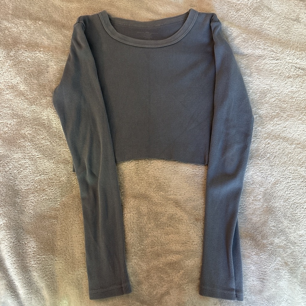 Brandy Melville Blue Long Sleeve Crop Top